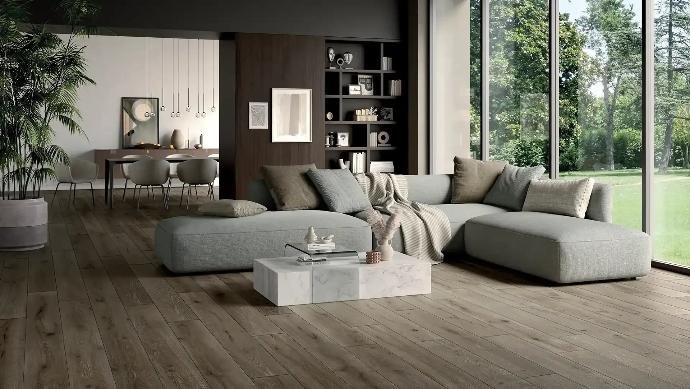 Carrelage effet bois Carrelage effet bois séjour