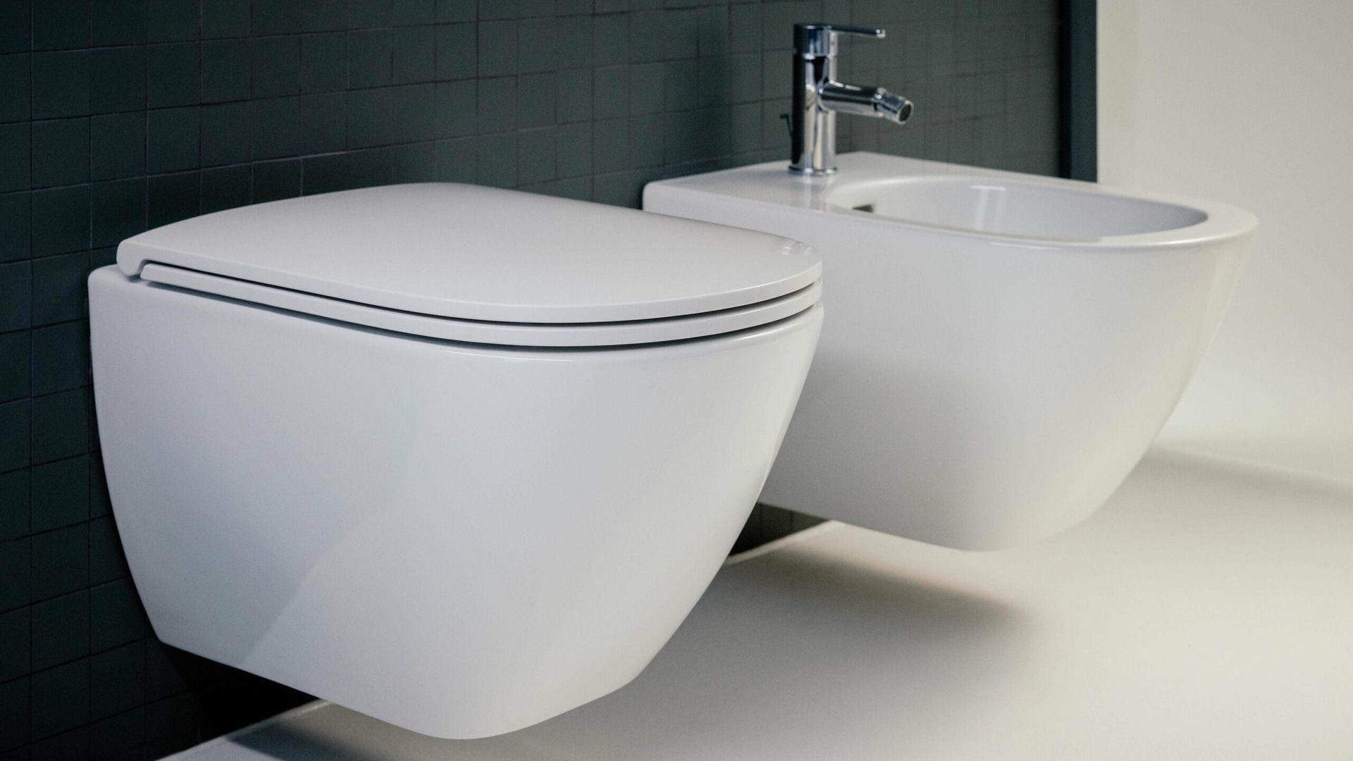WC Bidet Laufen Sanitaire