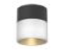 [2212C0004] TUBE APP - PEARL Ceiling - 10W - 36° - 3000K - 870lm - DIMMABLE - Noir / Blanc / Or