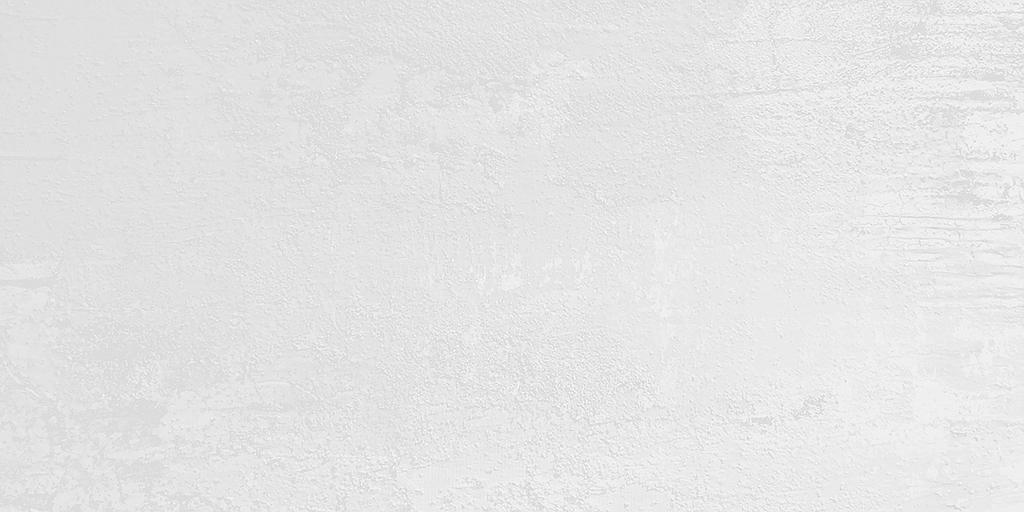 Faience Interlaken Blanc Nuancé mat, non émaillé, rectifié 300x600x8.5mm (298x598) - 1.26 m2 - 14.65 kg/m2 - V1 - 50.40 m2/palette