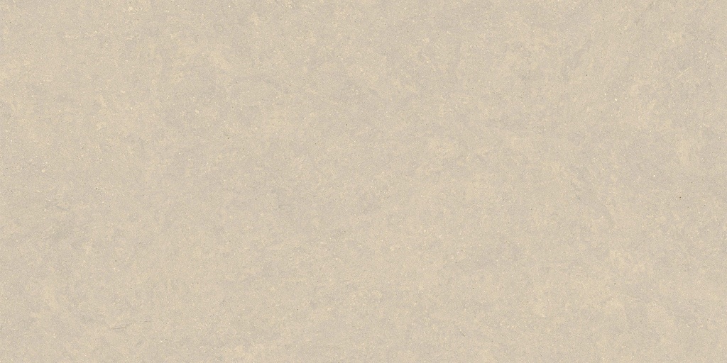 Grès cérame Calgary Ivoire 300x600x9.5mm (298x598) rectifié R10 B - V2 - 1.08m2 - 20.83 kg/m2 - 51.84 m2/palette