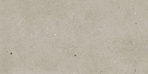 [1217S0214] Fjord Sand 300x600x8mm (296.4x595.8) natural plus - rectifié - R10 B - V2 - 1.44 m2 - 17.5 kg/m2 - 57.6 m2/palette