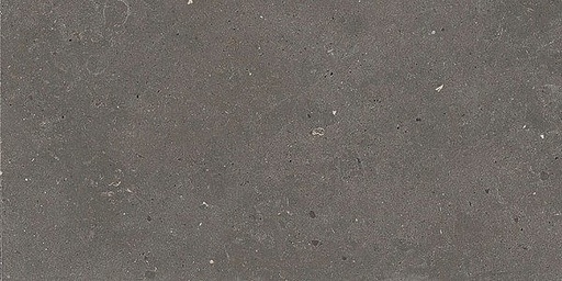 [1217S0216] Fjord Dusty 300x600x8mm (296.4x595.8) natural plus - rectifié - R10 B - V2 - 1.44 m2 - 17.5 kg/m2 - 57.6 m2/palette