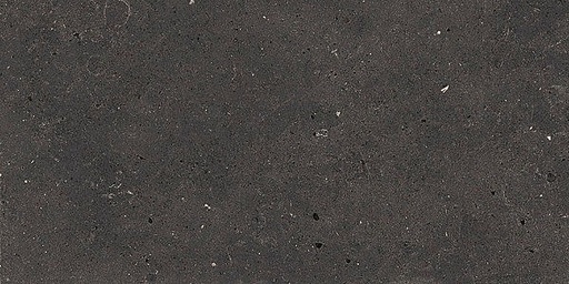 [1217S0218] Fjord Black 300x600x8mm (296.4x595.8) natural plus - rectifié - R10 B - V2 - 1.44 m2 - 17.5 kg/m2 - 57.6 m2/palette