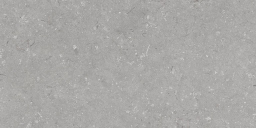 [1215H4674] Shellstone Grigio 300x600x8mm (299x600) - rectifié - R10 B - V3 - 1.80 m2 - 17.36 kg/m2 - 57.60 m2/palette