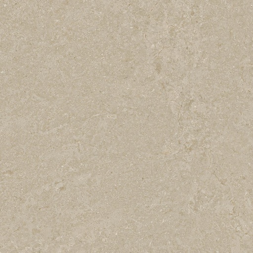 [1215H4743] Cupola Taupe 600x600x8.8mm (593x593) rectifié - R10 B - V3 - 1.406 m2 - 19.93 kg/m2 - 50.52 m2/palette